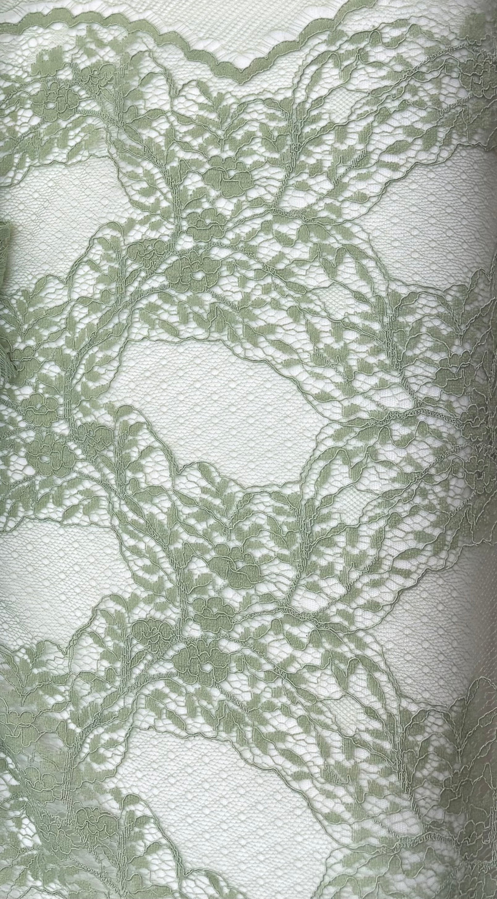 Tessuto PIZZO CHANTILLY “verde salvia”