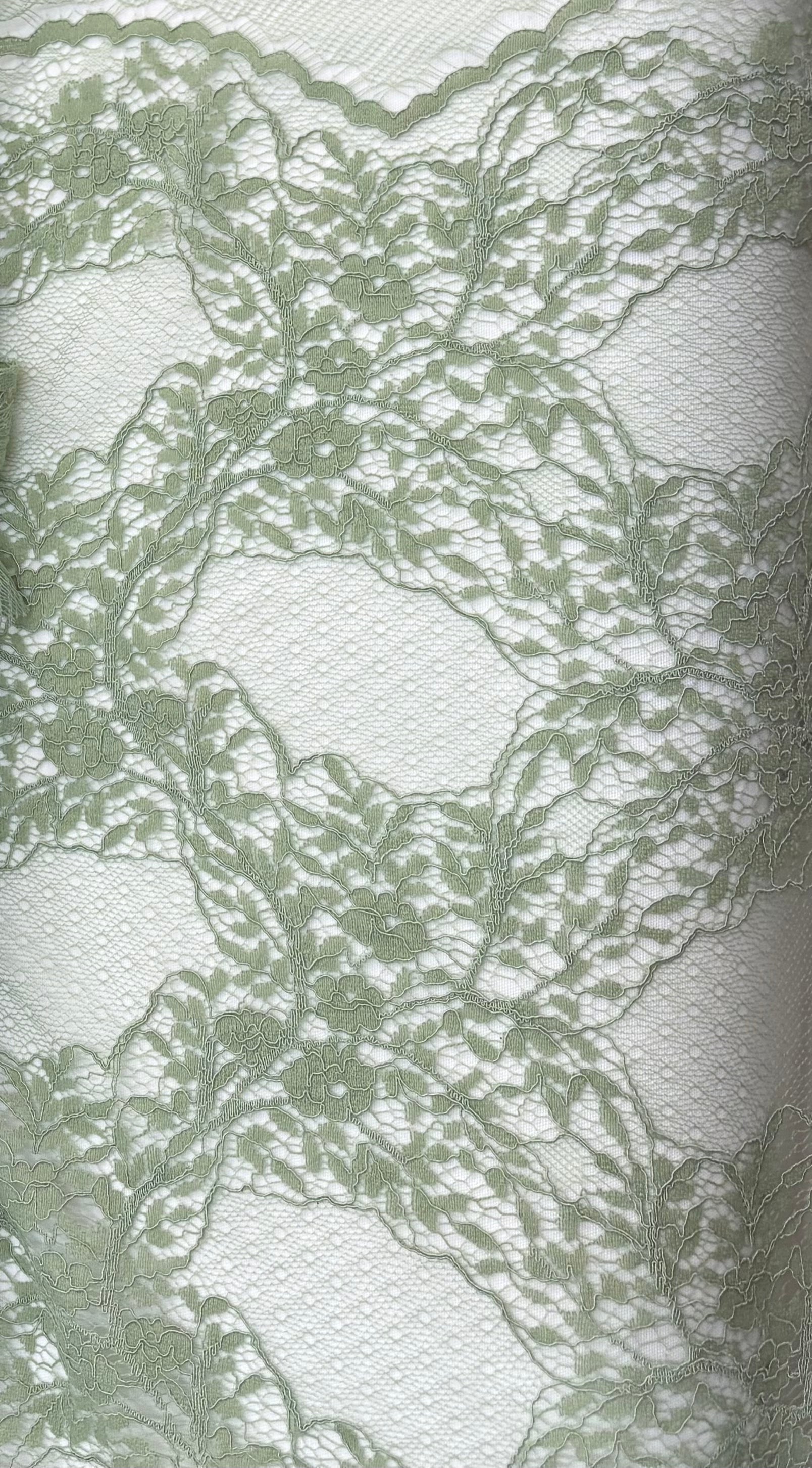 Tessuto PIZZO CHANTILLY “verde salvia”